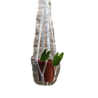 Suporte Plantas Macramê Cru Anabel