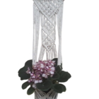 Suporte Plantas Macramê Cru Anabel