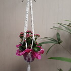 Suporte Plantas Macramê Cru Iris