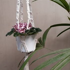 Suporte Plantas Macramê Cru Iris