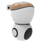 Suporte Stand De Parede Compatível Com Camera I2go E Maxi Cos