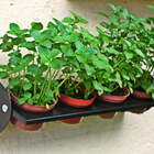 Suporte Temperos Greenup