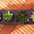 Suporte Temperos Greenup