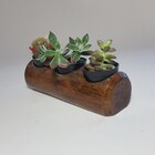 Suporte Terrário Vasos Para Suculentas Cactos Em Madeira