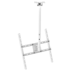 Suporte Teto Tv 10" A 65" Vesa 600x400 Giro 360° Branco