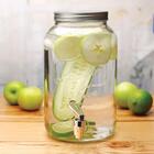 Suqueira Refresqueira De Vidro - 25 X 19 X 15 Cm 3 2l