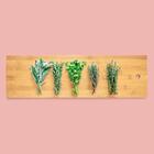 Tabua De Bambu 60 X 18 X 2cm Bandeja  Corte E Pestisqueira