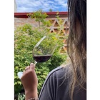 Taça De Cristal Arcoroc Vinho Chef Sommelier Cabernet 470ml