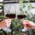 Taca De Cristal Para Vinho Tinto 460ml Pleasure Haus Concept