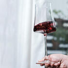 Taca De Cristal Para Vinho Tinto 460ml Pleasure Haus Concept