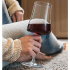 Taca De Cristal Para Vinho Tinto 460ml Pleasure Haus Concept