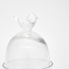 Taça de sobremesa vidro mini cúpula 10x21cm Quadrifoglio