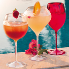 Taça Gin Acrílico Ideal Drink Espumante Champagne Copo Festa