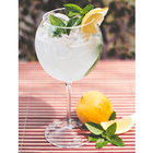 Taça Gin Acrílico Ideal Drink Espumante Champagne Copo Festa