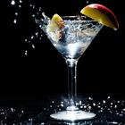 Taça P/martini Sense 210ml Brinox