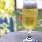 Taça Para Cerveja Floripa Vidro 300ml 6 Unidades - Nadir 7732