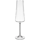 Taça Para Espumante Pleasure 210ml Haus Concept - Brinox