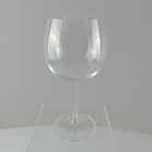 Taça Para Gin Gastro 600ml - Bohemia