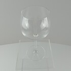 Taça Para Gin Gastro 600ml - Bohemia