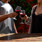 Taça Para Vinho Em Policarbonato 350ml Classic Kenya