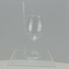 Taça Vinho Água Home&co Com Canudo Borossilicato 300ml 21x6x6