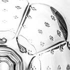 Taças De Vidro 300ml 6 Peças Trevo Transparente - Casambiente