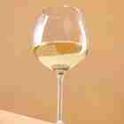 Taças De Vinho Transparente Marca Ou Martiplast 750 Ml