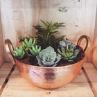 Tachinho Mini De Cobre Puro Servir E Decorar Com Alças 14cm