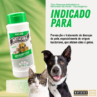 Talco Matacura Antisseptico Hipoalergenico 100g