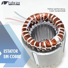 Talha Elétrica Guincho 150/300 Kg 600w 127v Elevação 6/12 M T