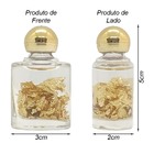 Talismã Da Riqueza - Prosperidade E Sucesso