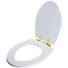 Tampa De Vaso Absolute Branco Para Bacia Ideal Standard Com F