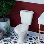 Tampa De Vaso Plástico Ivy Branco Para Bacia Santa Clara