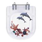 Tampa De Vaso Poliéster Decorada Golfinho E Conchas Lille Par