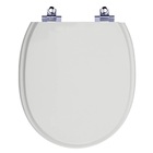 Tampa De Vaso Sanitário Com Amortecedor Village Cinza Real Pa