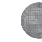 Tampa Tampão Chão Articulado Redondo Ferro Passagem 51x42cm