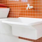 Tanque De Plástico 40l Para Lavanderia Branco + Sifão Univers