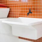 Tanque Lavanderia  22l Branco + Sifão Copo Universal Sanfonad