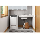 Tanquinho Colormaq 20kg