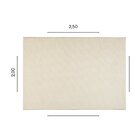 Tapete 250x200cm Lumiere Tapetes São João Natural