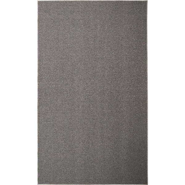 Tapete 300x500cm Lumiere N Tapetes São Carlos Cinza Mescla