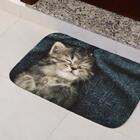 Tapete Bem Vindo 40cmx60cm Cat