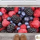 Tapete Capacho Decorativo Entrada Porta Sala Blueberries