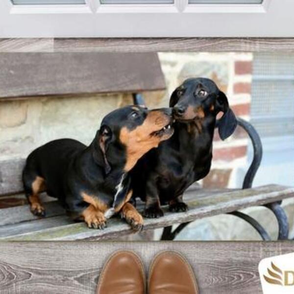 Tapete Capacho Decorativo Entrada Porta Sala Dachshund