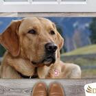 Tapete Capacho Decorativo Entrada Porta Sala Labrador