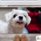 Tapete Capacho Decorativo Entrada Porta Sala Maltês