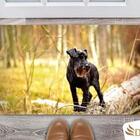 Tapete Capacho Decorativo Entrada Porta Sala Schnauzer