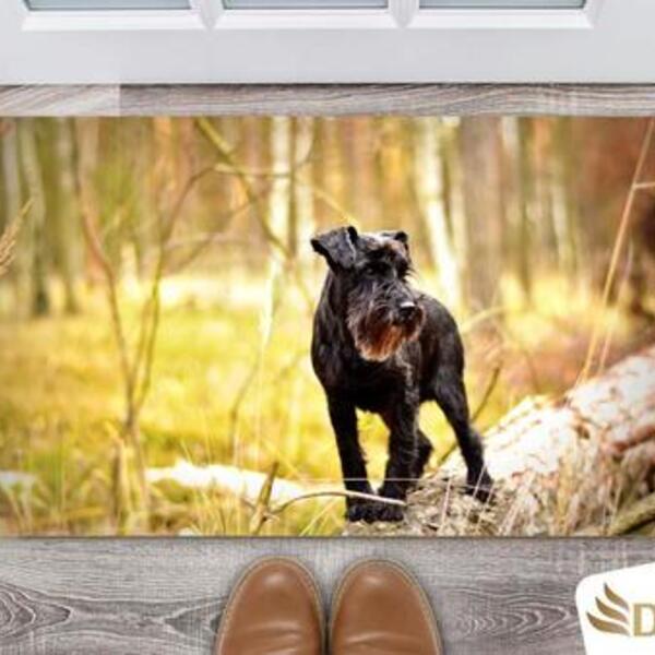 Tapete Capacho Decorativo Entrada Porta Sala Schnauzer