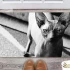 Tapete Capacho Decorativo Entrada Porta Sala Sphynx