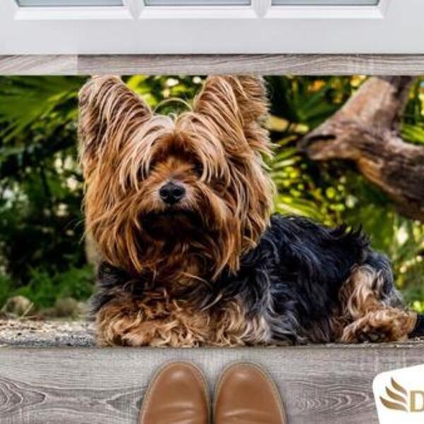 Tapete Capacho Decorativo Entrada Porta Sala Yorkshire